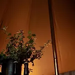 Braennskaer & Glamping Lodge *