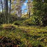 Lodge Braennskaer & Glamping