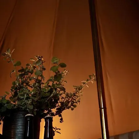 Braennskaer & Glamping Lodget *