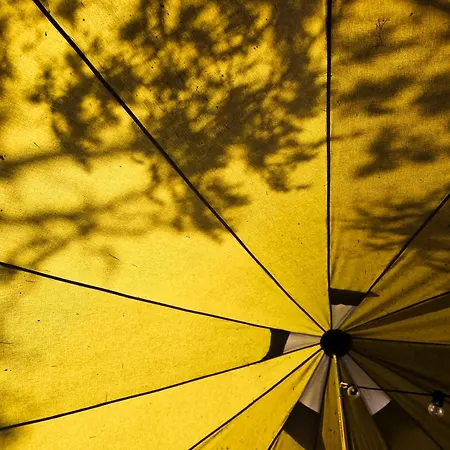 Braennskaer & Glamping Lodget *