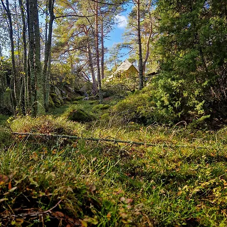 Lodget Braennskaer & Glamping