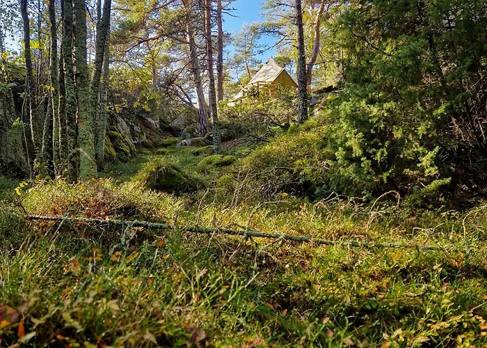Jaktstuga Brännskär Cottages&glamping