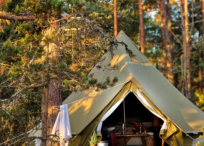 Jaktstuga Brännskär Cottages&glamping *