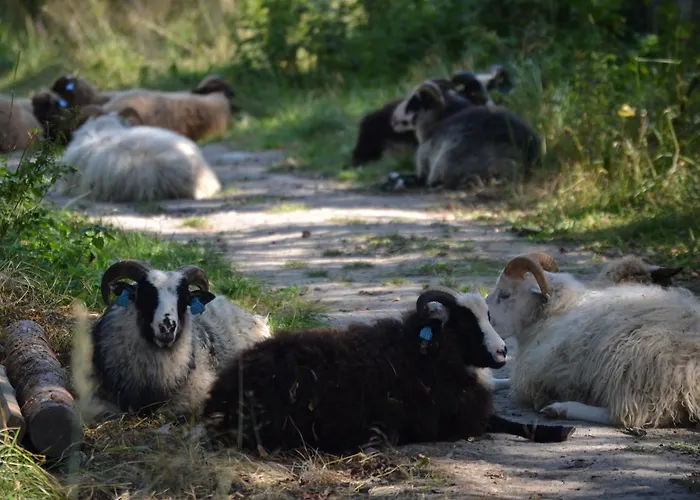 Brännskär Cottages&glamping Jaktstuga